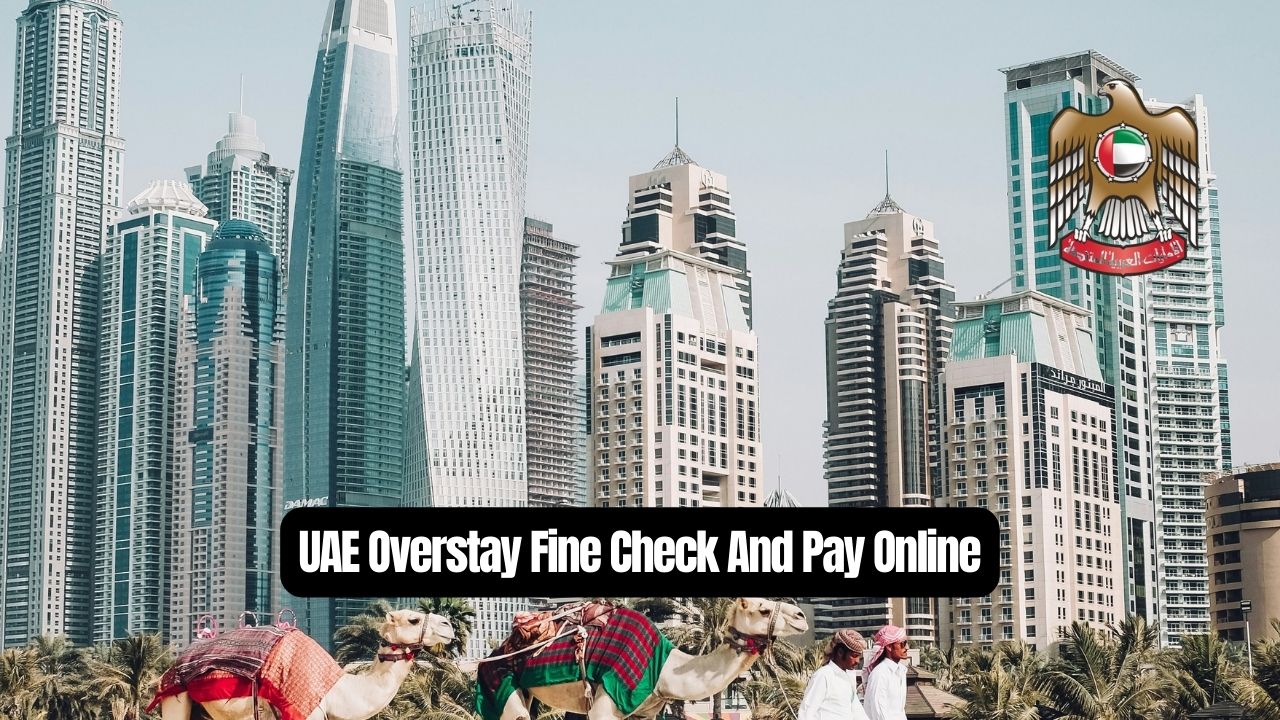 How To Check And Pay Overstay Fines In Dubai